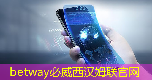 betway必威西汉姆联官网：智能夹物流搬运四个夹子