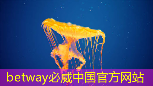 betway必威：工业互联网运营团队有哪些