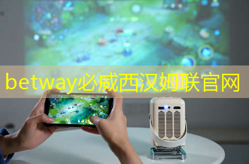 betway必威：人工智能物流系统设计