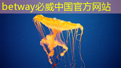 betway必威：使用什么掌上游戏机芯片才能畅玩3D游戏？