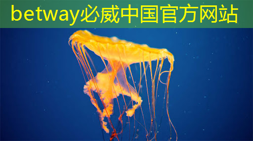 betway必威西汉姆联官网：主控芯片中的电源管理技术，解析主控芯片中的电源管理策略！