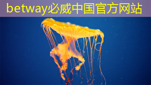 betway必威西汉姆联官网：新型智慧城市探索地点