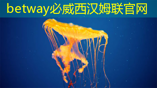 betway必威:四维投影与四维智慧的巅峰对决:打破认知的束缚 betway必威:四维投影与四维智慧的巅峰对决:打破认知的束缚