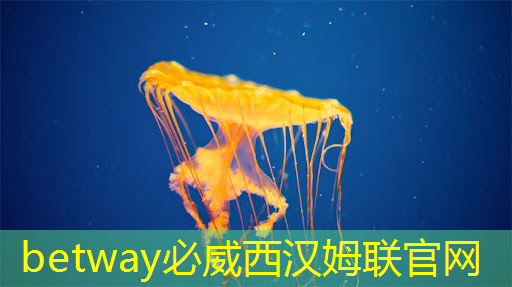 betway必威:游戏世界与住宿领域碰撞!投影游戏智慧酒店即将问世 betway必威:游戏世界与住宿领域碰撞!投影游戏智慧酒店即将问世