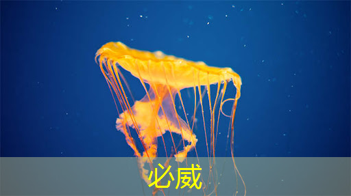 betway必威中国官方网站:商显智慧屏:让你的广告与众不同! betway必威中国官方网站:商显智慧屏:让你的广告与众不同!