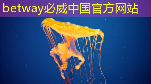 betway必威:芝麻投影:定义您的家庭娱乐方式! betway必威:芝麻投影:定义您的家庭娱乐方式!
