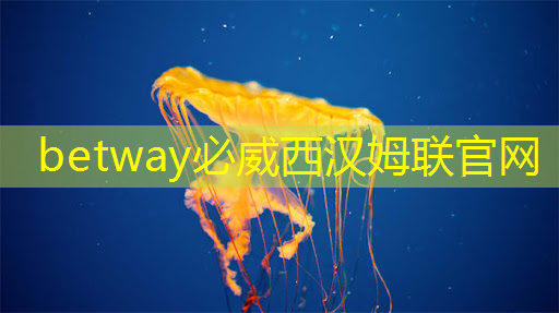 betway必威中国官方网站：实现智慧社区全面升级：智能商显点亮都市未来之路！
