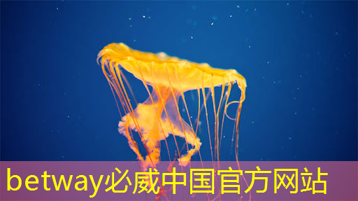 必威:为什么投屏与同屏模式成为当下最受欢迎的家庭娱乐方式? 必威:为什么投屏与同屏模式成为当下最受欢迎的家庭娱乐方式?