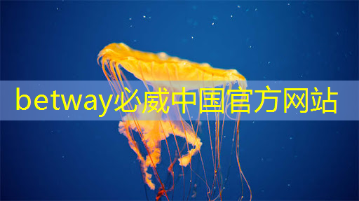 betway必威中国官方网站：中科融合CTO刘欣：高能效3D-AI视觉芯片的多核异构架构及电路设计与挑战｜直播课预告