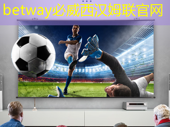 betway必威西汉姆联官网:智能硬件芯片行业太卷?联盛德给出了答案 betway必威西汉姆联官网:智能硬件芯片行业太卷?联盛德给出了答案
