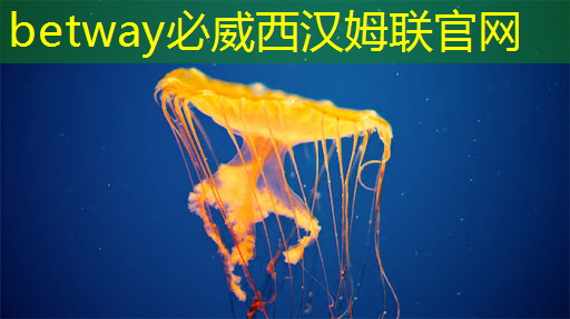 必威:地平线高级研发总监凌坤:好的自动驾驶AI芯片更是“好用”的芯片|直播预告 必威:地平线高级研发总监凌坤:好的自动驾驶AI芯片更是“好用”的芯片|直播预告
