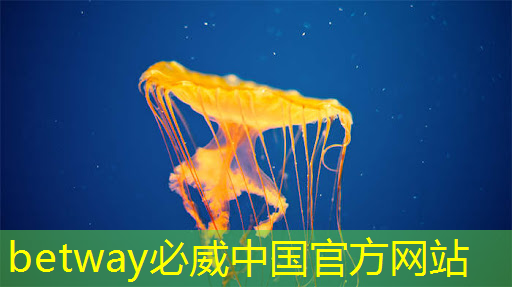 betway必威:RK3399芯片在消费产品中的应用及PCB设计关键注意事项 betway必威:RK3399芯片在消费产品中的应用及PCB设计关键注意事项