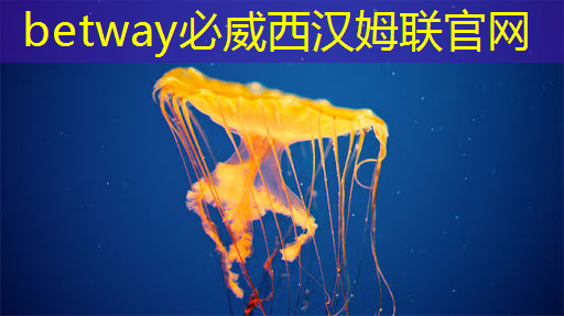 betway必威中国官方网站:湃方科技CEO武通达:高能效边缘AI芯片在工业AIoT中的应用实践|公开课预告 betway必威中国官方网站:湃方科技CEO武通达:高能效边缘AI芯片在工业AIoT中的应用实践|公开课预告