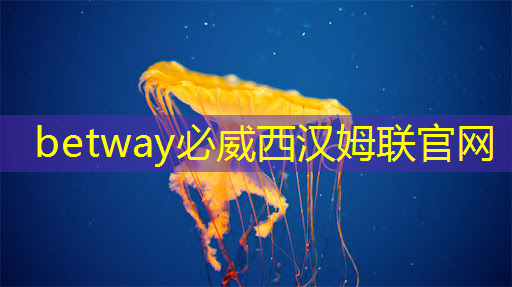betway必威中国官方网站:云豹智能产品应用负责人安东尼:云原生DPU芯片的创新与应用|直播预告 betway必威中国官方网站:云豹智能产品应用负责人安东尼:云原生DPU芯片的创新与应用|直播预告