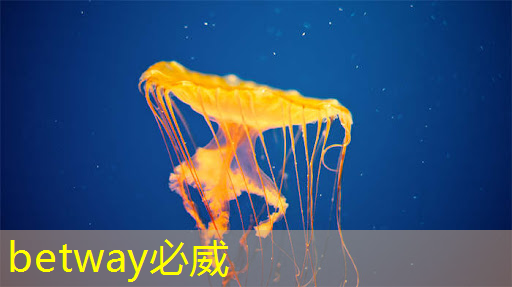 端到端AI加速只需单芯片？AMD二代Versal自适应SoC带来边缘新突破