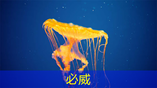 betway必威西汉姆联官网:【毫米波传感器】采用单芯片毫米波传感器实现前沿的智能自主 betway必威西汉姆联官网:【毫米波传感器】采用单芯片毫米波传感器实现前沿的智能自主