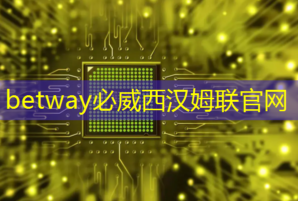 betway必威中国官方网站:美国以“国家安全”名义,审查中国使用RISC-V芯片技术的风险 betway必威中国官方网站:美国以“国家安全”名义,审查中国使用RISC-V芯片技术的风险