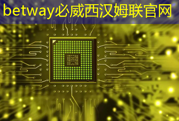 betway必威:上海市芯片制造与封装电子电镀专题研讨会在上海大学顺利召开! betway必威:上海市芯片制造与封装电子电镀专题研讨会在上海大学顺利召开!