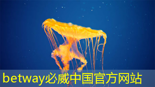betway必威中国官方网站:国内高端模拟芯片厂商艾创微授权世强硬创代理,构建互联网生态 betway必威中国官方网站:国内高端模拟芯片厂商艾创微授权世强硬创代理,构建互联网生态