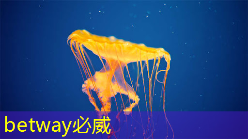 芯片行业大爆发!国产芯片的未来在哪里? 芯片行业大爆发!国产芯片的未来在哪里?