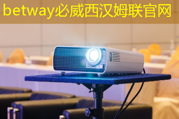 betway必威中国官方网站:张强:中国汽车智能芯片行业里的行动派 betway必威中国官方网站:张强:中国汽车智能芯片行业里的行动派
