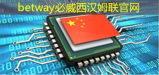 betway必威西汉姆联官网：地平线工具链核心开发者杨志刚：基于征程5芯片的Transformer量化部署实践与经验｜自动驾驶新青年讲座