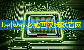 必威：芯片三巨头，叫板GPU