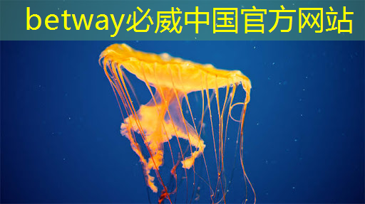 必威:内存和存储芯片要缺货涨价?都是AI惹的祸,到明年才能缓解 必威:内存和存储芯片要缺货涨价?都是AI惹的祸,到明年才能缓解