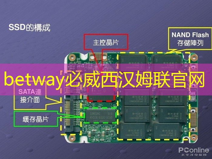 betway必威西汉姆联官网:【2024】人工智能AI 芯片方案:谁主沉浮?(4/5) betway必威西汉姆联官网:【2024】人工智能AI 芯片方案:谁主沉浮?(4/5)