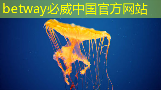 揭秘!芯片设计及制造全过程 揭秘!芯片设计及制造全过程