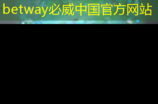 betway必威中国官方网站:AI, GPU和芯片的未来 betway必威中国官方网站:AI, GPU和芯片的未来