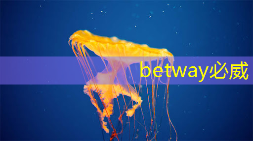 betway必威西汉姆联官网：崛起成必然，存储芯片的壁垒，终将被我们打破