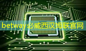 betway必威：清华发布《人工智能芯片技术白皮书（2018）》