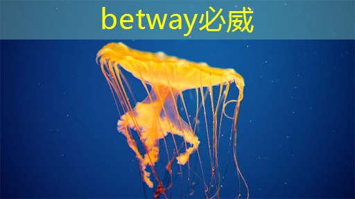必威：探秘飞腾：国产芯片的崛起之星