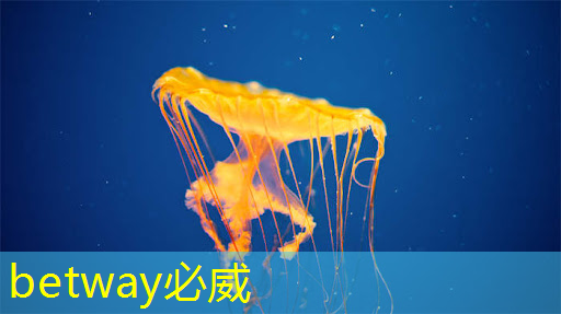 betway必威中国官方网站：芯片禁令对中国企业是挑战还是机遇？