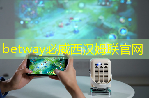 上海大学成功举办2024国际产学研用合作会议智能感知芯片技术分会场暨第14期上海集成电路“大师讲堂”