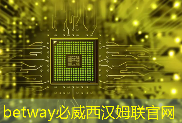 必威：英伟达发布AI芯片GH200，黄仁勋称“它会疯狂推理”