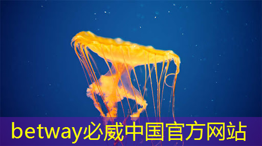 必威：心态崩了，恨死华为，Nova12用过时芯片直接干了安卓旗舰的市场!