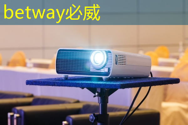 一年的时间，这家上海芯片独角兽又给我们带来了什么惊喜？