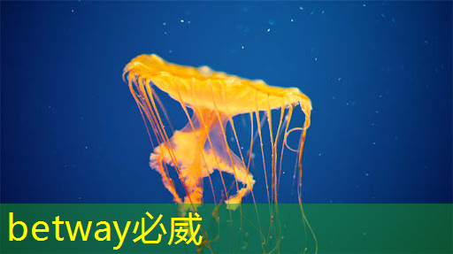 betway必威:基于架构创新,后摩智能点亮业内首款存算一体大算力AI芯片 betway必威:基于架构创新,后摩智能点亮业内首款存算一体大算力AI芯片