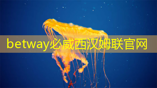 betway必威西汉姆联官网：ASIC芯片王者！垄断45%市场份额，大厂抛弃GPU，下一个常山北明？