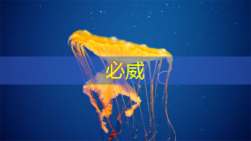 betway必威:华为首款AI芯片麒麟970可每分钟处理2000张照片,是三星S8的20多倍 betway必威:华为首款AI芯片麒麟970可每分钟处理2000张照片,是三星S8的20多倍