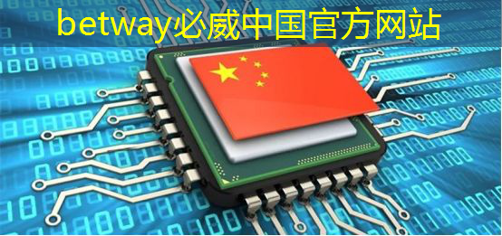 betway必威中国官方网站：WAIC2021｜使能智慧交通，黑芝麻智能核心芯片推动汽车产业“智”变升级