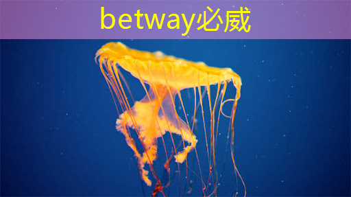 betway必威西汉姆联官网：格力实现SIC芯片的自研自产，茅台业绩说明会4要点