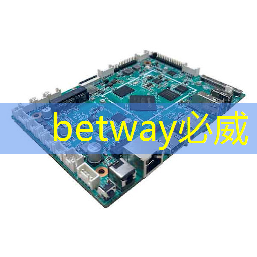 betway必威：地平线高级研发总监凌坤：好的自动驾驶AI芯片更是“好用”的芯片｜直播预告