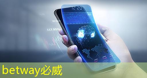 betway必威西汉姆联官网：黑芝麻智能曾代兵：大算力芯片是自动驾驶的核心