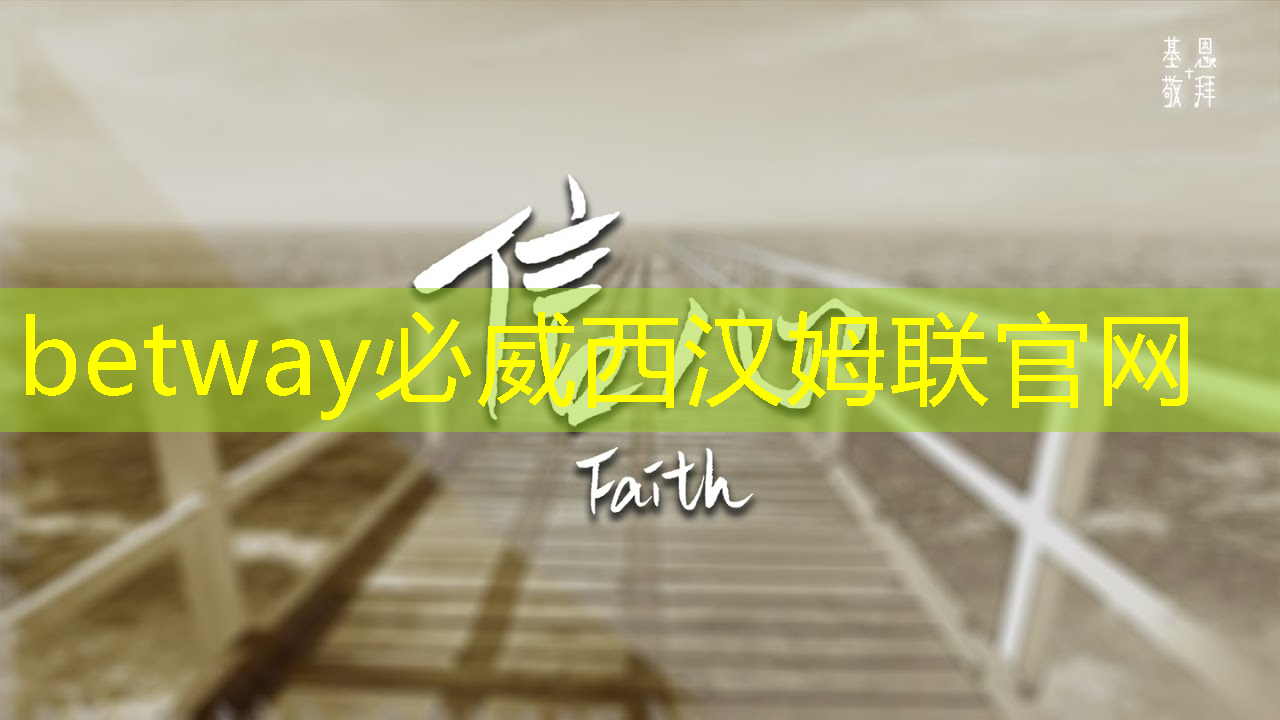 全志科技领涨，芯片股新宠儿