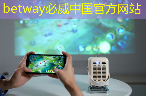 betway必威中国官方网站：波罗的海国家外长就美国人工智能芯片出口限制发出呼吁