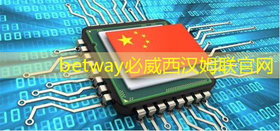 betway必威：电源管理芯片：如何选择与应用
