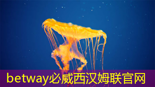 必威：2025年全球芯片市场，走势如何？